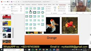 Exp22_PowerPoint_AppCapstone_IntroAssessment_Color | PowerPoint AppCapstone Intro Assessment Color