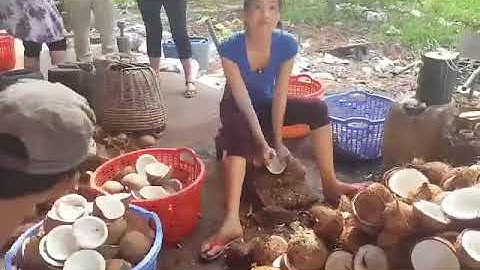 Cách tách dừa cực nhanh của nông dân Miền Tây