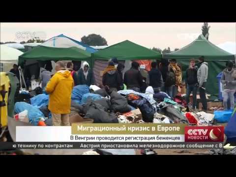 Германия призвала страны ЕС увеличить квоты для беженцев