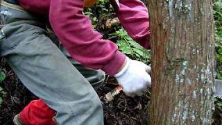blg20081005-15