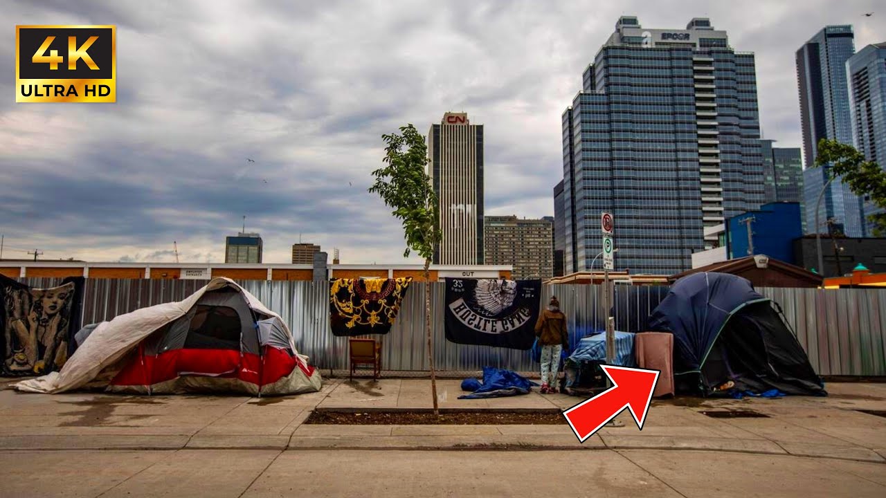 Я выжил в течение 24 часов в самых опасных районах Эдмонтона.