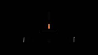 Cats: Paws vs. Hands – The Great Debate #substack #shorts