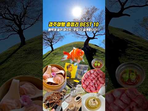 뻔한곳 사절📌요즘 경주여행 핵심 총정리 BEST 10 #경주여행코스