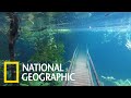 超夢幻的巴西水底森林步道（其實是淹水！） 《國家地理》雜誌