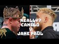 😱CANELO REPORTEDLY IN TALKS TO FIGHT JAKE PAUL 😱 #jakepaul #canelo #netflix #dazn #terrencecrawford