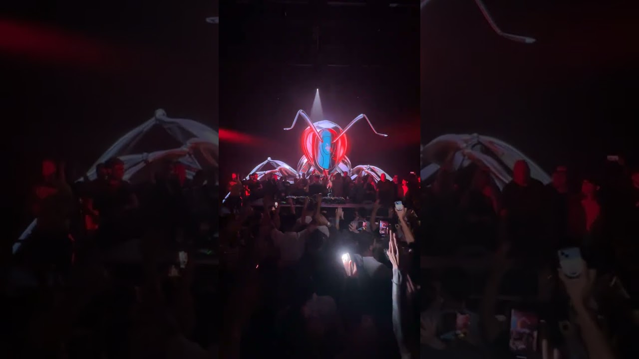 10 Years Strong w: Ants  🐜🌪 