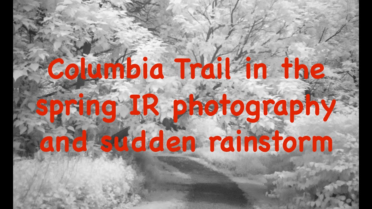 Columbia Trail from Long Valley   turning around in sudden rainstorm