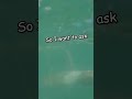 Giant Squid Attacks Man While Surfing! - Is it real?