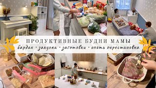 Развели бардак 😡 Закупка продуктов 🥦 Наконец-то определились👌🏻 Готовим и заготавливаем 🥣