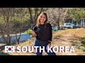 First time in south korea  rural village farm life