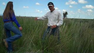 Pasture Management - Knowing when it's time to move the animals