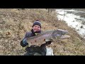 High water. Salmon fishing in the Salaca river.