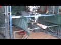 home built saw mill  Swing saw