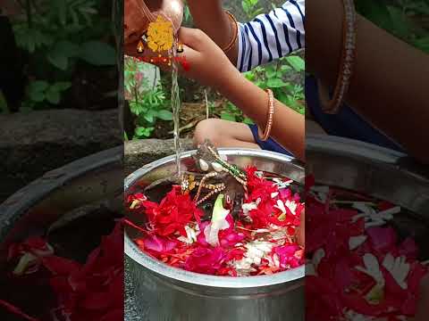 ganesh nimajjanam at home | jai Ganesh chathurthi