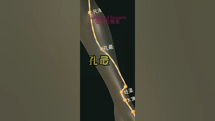 手太陰肺經易堵塞穴位Hand Taiyin Lung Meridian easily blocked points - 天天要聞