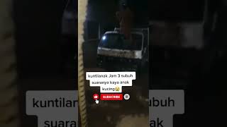 Suara Kuntilanak Jam 3 Subuh horror kisahseramnetizen malamjumat kuntilanak horrorstories