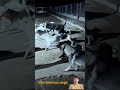 Dog videos, mischievous dogs #animal _025#animals #shorts