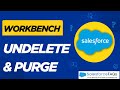 Workbench Undelete and Purge Data Operation | Salesforce Workbench Data Undelete and Purge