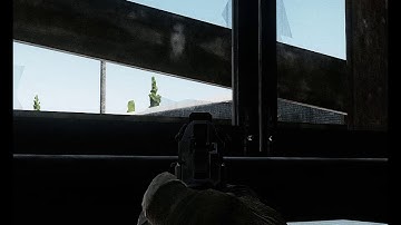 EFT iron sight bug