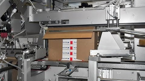HCP312 Automatic case packer
