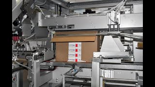 HCP312 Automatic case packer