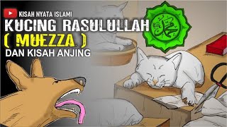 MUEZZA - Kucing Ajaib Kesayangan Rasulullah SAW & Kisah Anjing || Kisah Nyata Islam