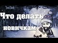 Как начать играть в Don&#39;t Starve Together