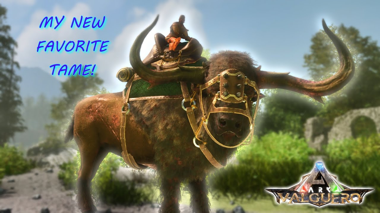 Вознесенный ковчег Вальгеро, наслаждаясь бизоном