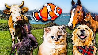 Cute little animals - Dog, cat, chicken, elephant, cow, tortoise - Animal sounds