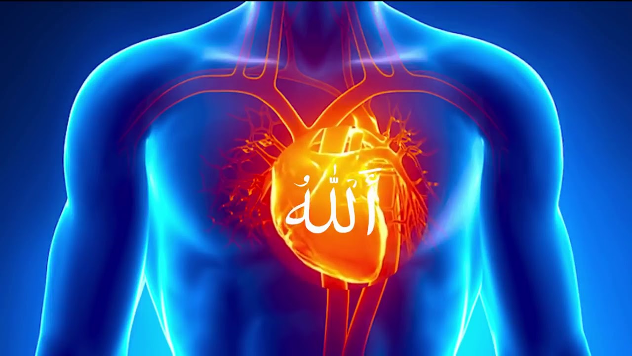 Zikr Allah  40 Minutes  That will clean your soul and heart