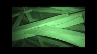 Natterer's barn roost