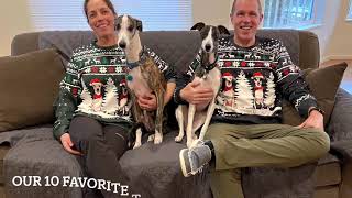 Speedy the Whippet and Willowkins: Our 10 Favorite Things About Whippets