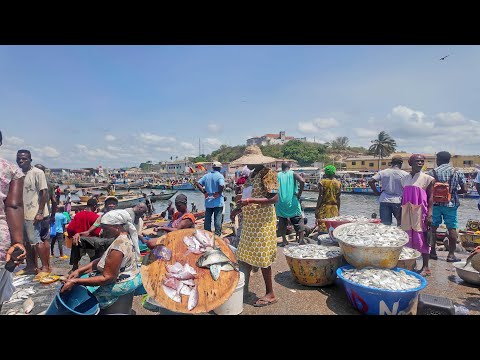 FRESH FISH MARKET IN GHANA ELMINA, AFRICA
