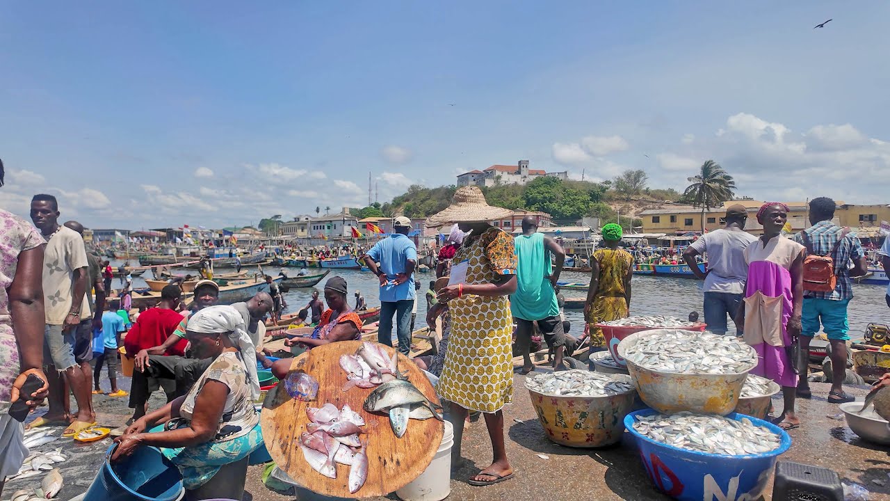 FRESH FISH MARKET IN GHANA ELMINA, AFRICA