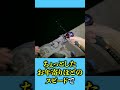 奇妙なタコが釣れたのでマダコと食べ比べてみました！