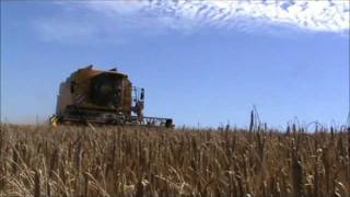 moisson 2010 buguel.wmv
