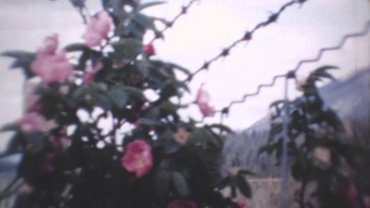 Alice Boman - Burns (Official video)