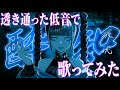 【40度の熱(病み上がりに)】酔いどれ知らず／kanaria（Cover） 鬱