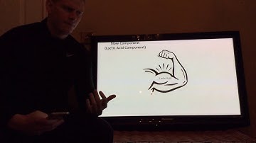 EPOC Theory (Fast & Slow Component)