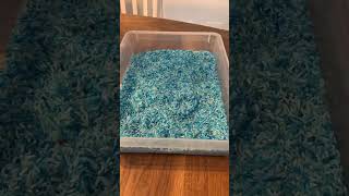 Alphabet Sensory Bin Letter Hunt #mom #classroommanagement #classroomsetup #preschoolmom #diy
