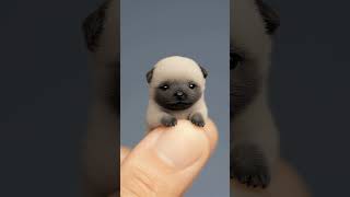 #cute #mypug #puppy #animal #pets #baby #love