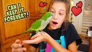 A NeW PeT FOR JaYLA?! CAN SHE KEEP IT?!