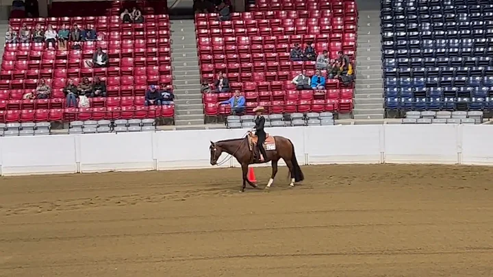 Finals Congress 2022 Level 1 Select Horsemanship L...