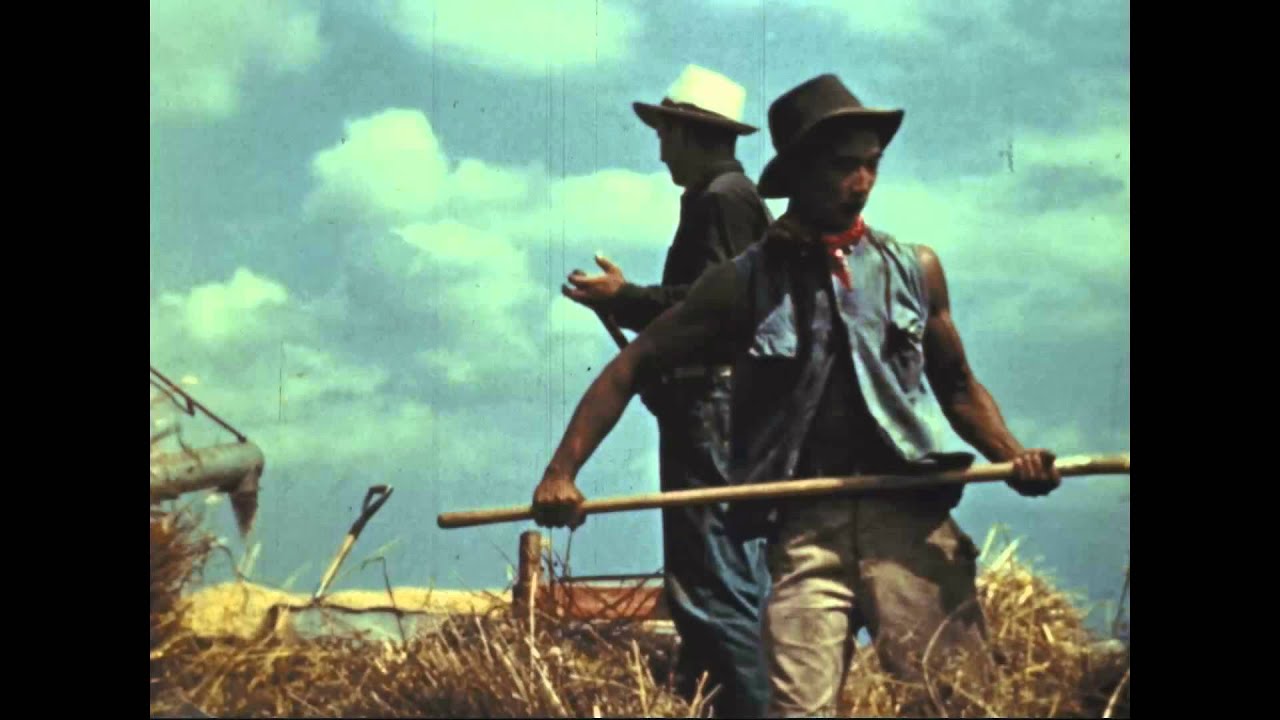Documentary backdrop image for The Way Ahead (2015)