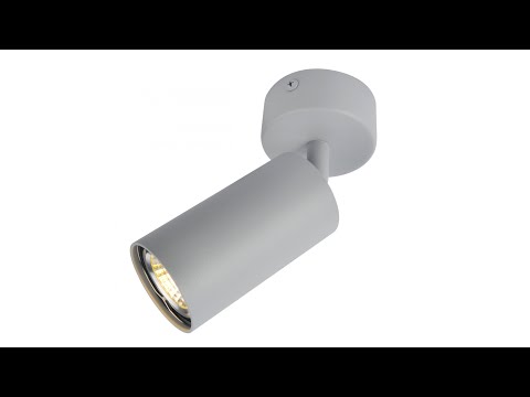 Светильник поворотный Arte Lamp A3216PL-1GY