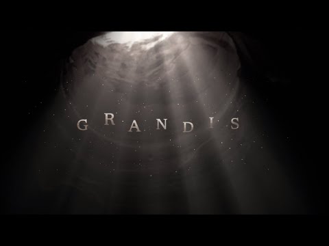 MapleStory | G R A N D I S