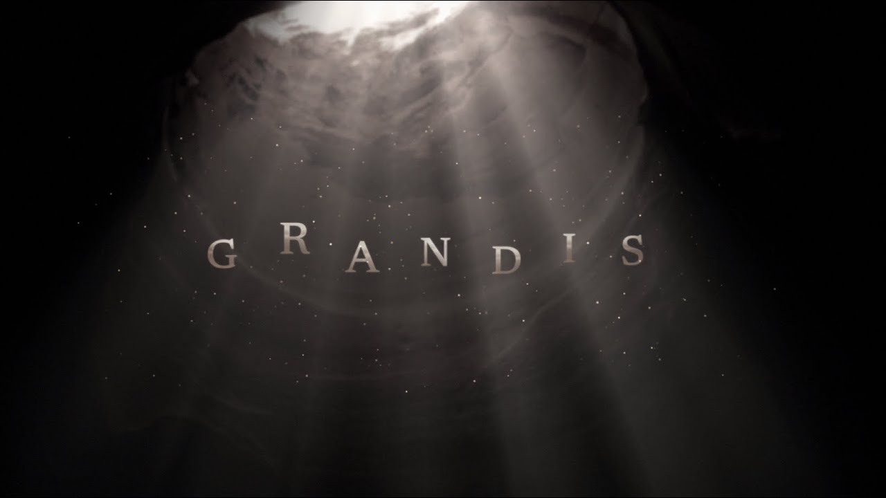 SAVIOR(메이플스토리) (r513 판) - 나무위키