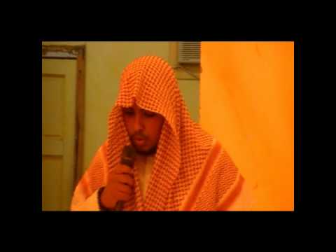 نشيد هبت نفحات الأنسية من انشاد محمد بلقاسم الشمراني 