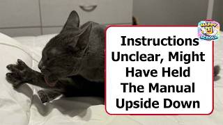 Cute And Derpy Pets That Look Like They Were “Assembled” Wrong