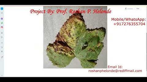 Grape Leaf Disease Detection Using CNN Convolutional Neural Network | Python Project Source Code